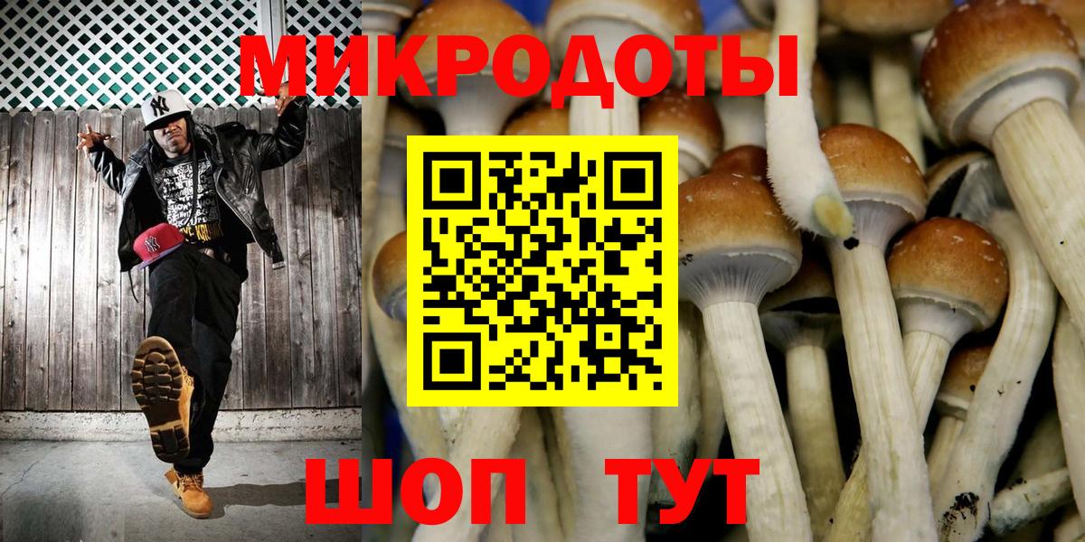 Усинск  Псилоцибиновые грибы Psilocybine cubensis  Вход с VPN 