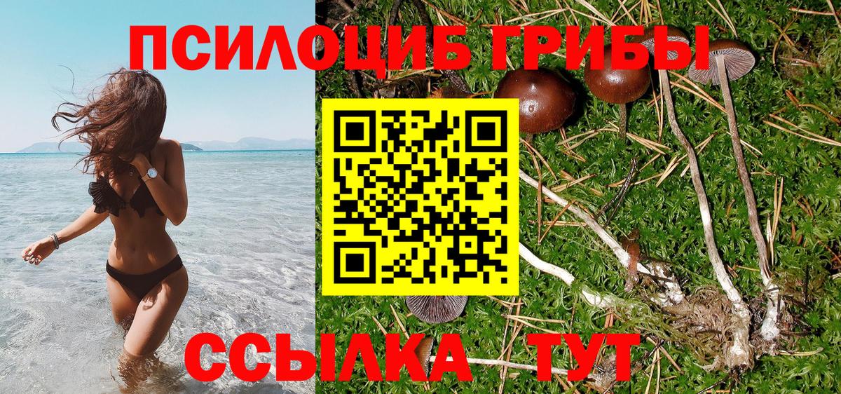 Псилоцибиновые грибы мухоморы Усинск